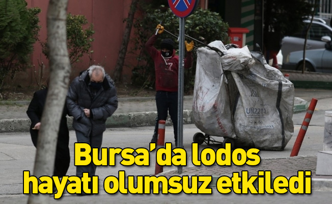 Bursa’da lodos hayatı olumsuz etkiledi