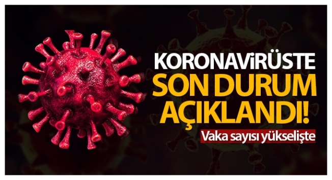 Türkiye’de son 24 saatte 7.857 koronavirüs vakası tespit edildi