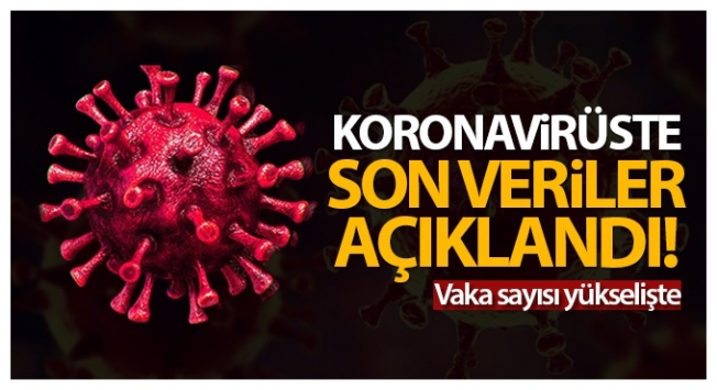 Türkiye'de son 24 saatte 11.770 koronavirüs vakası tespit edildi