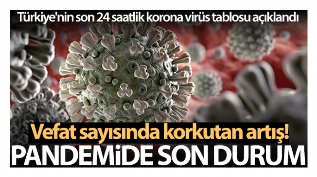 Son 24 saatte korona virüsten 318 kişi hayatını kaybetti