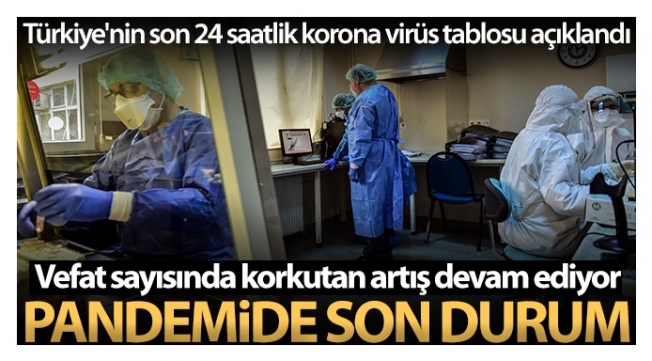 Son 24 saatte korona virüsten 341 kişi hayatını kaybetti