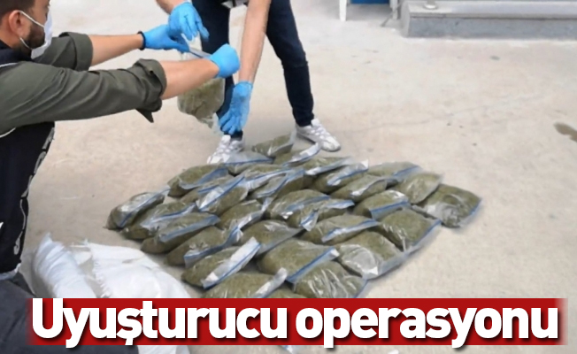 Bursa’da 32 kilogram bonzai ile böyle yakalandılar