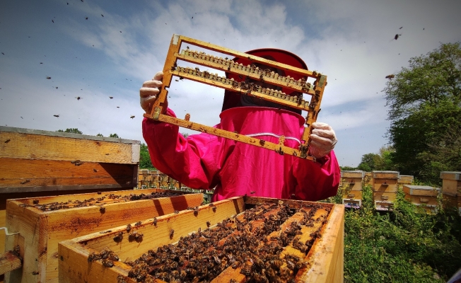 Gram gram sağdığı arı sütünün kilosunu 8 bin liradan satıyor