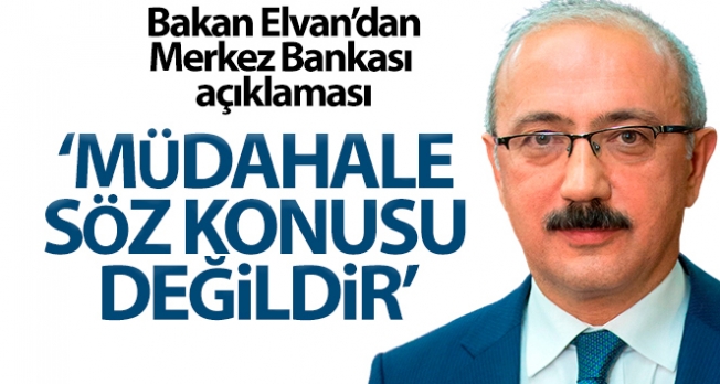Bakan Elvan: 'Merkez Bankası’na müdahale söz konusu değildir'