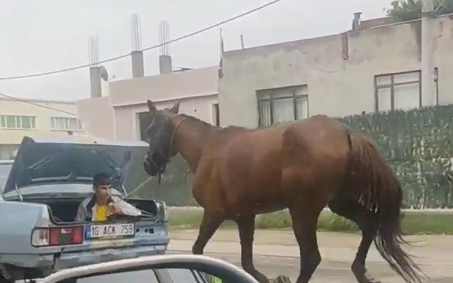 Bursa’da aracın arkasına at bağlayıp çevre yolunda koşturdu
