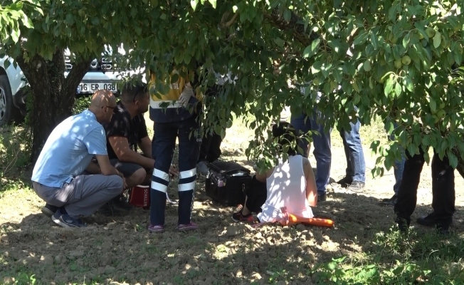 Bursa’da armut bahçesine mecburi iniş yapan uçakta motor arızası yaşanmış: 2 yaralı