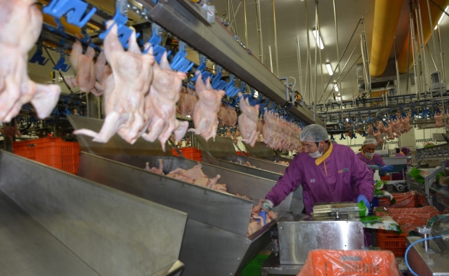 Tavuk devi 2021’de 160 milyon TL’lik yatırım plânlıyor