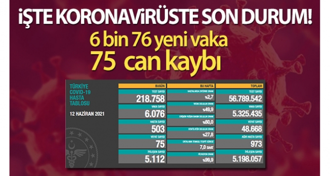 Türkiye'de son 24 saatte 6.076 koronavirüs vakası tespit edildi