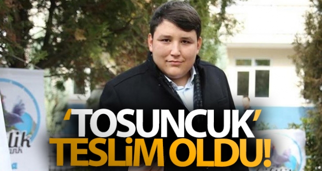 Çiftlik Bank'ın kurucusu 'Tosuncuk' lakaplı Mehmet Aydın teslim oldu
