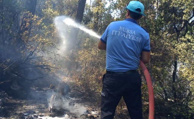 Bursa Büyükşehir Belediyesi itfaiye ekipleri Marmaris yangınına müdahale ediyor