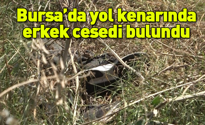 Bursa’da yol kenarında erkek cesedi bulundu