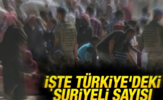 Süleyman Soylu herkesin merak ettiği sayıyı açıkladı: İşte Türkiye'deki Suriyeli sayısı...