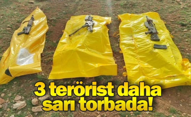 Bakan Soylu duyurdu: 3 terörist daha sarı torbada