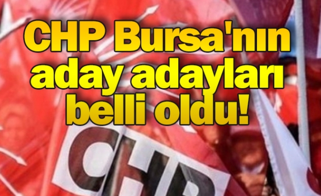 CHP Bursa'nın aday adayları belli oldu!