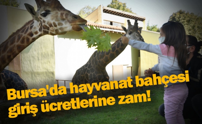 Bursa'da hayvanat bahçesi giriş ücretlerine zam!