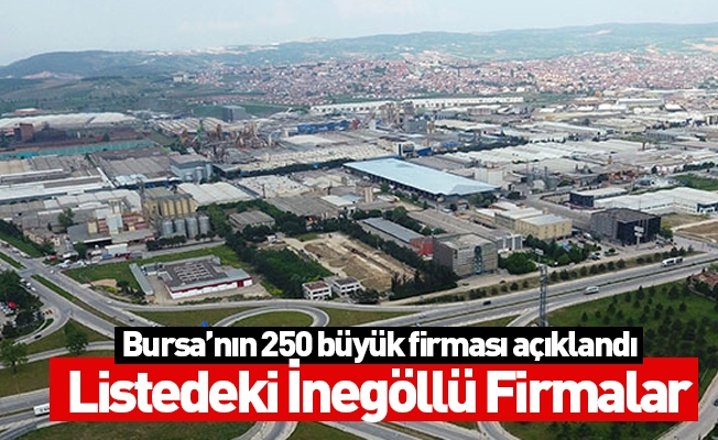 Bursa'nın en büyük 250 firması açıklandı! Listedeki İnegöllü Firmalar