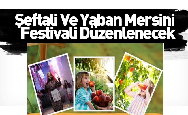 Şeftali Ve Yaban Mersini Festivali Düzenlenecek