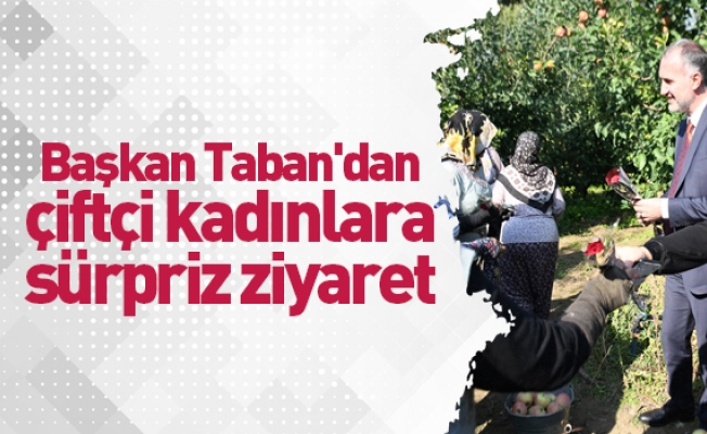 Başkan Taban'dan çiftçi kadınlara sürpriz ziyaret