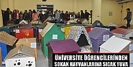 Uludağ Üniversitesi Öğrencilerinden Sokak Hayvanlarına Sıcak Yuva