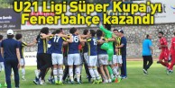 Fenerbahçe:3 Boluspor:0