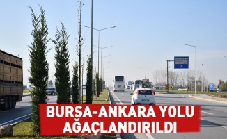 Bursa-Ankara Yolu Ağaçlandırıldı