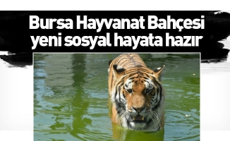 Bursa Hayvanat Bahçesi yeni sosyal hayata hazır
