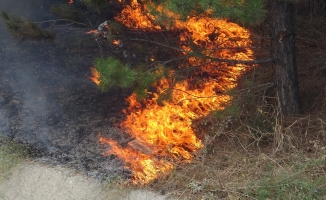 Bursa’da ağaçlık alanda çıkan yangın korkuttu