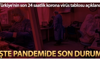Son 24 saatte korona virüsten 230 kişi hayatını kaybetti