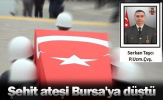 Şehit ateşi Bursa'ya düştü