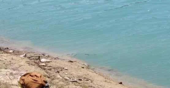 Sadık Dost Sahibini Bırakmadı