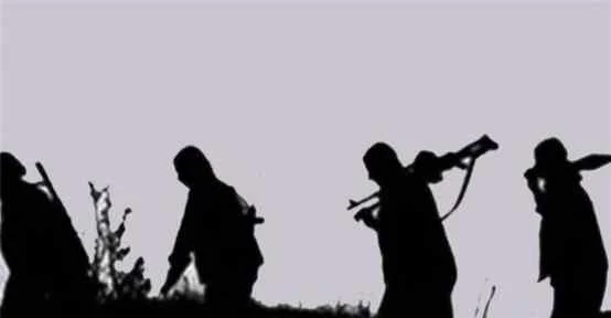 Pkk’nın Kaçırdığı öğrenci Serbest