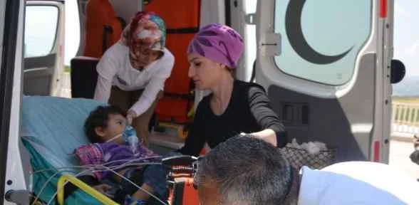 Yılanın ısırdığı Küçük Kız öldü