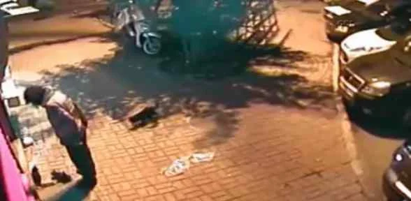 O Cani Yakalandı