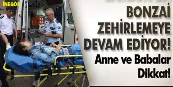 İnegöl'de  Bonzai zehirlemeye devam ediyor