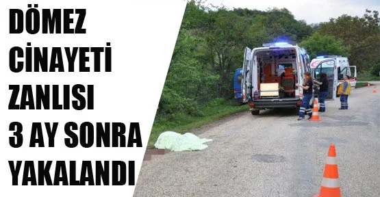 Cinayet zanlısı yakalandı
