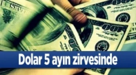 Dolar 5 ayın zirvesinde