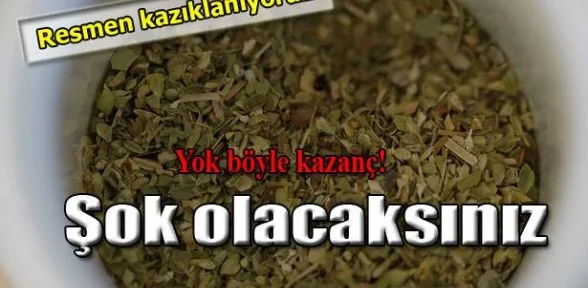 Aktarda 35 pakette 300 TL