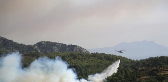 Milas’ta Büyük Korku !