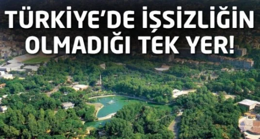 Türkiye'de işsizliğin olmadığı tek ilçe
