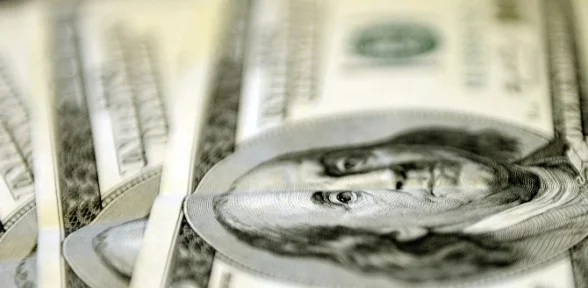 Dolar Yine Tavan Yaptı