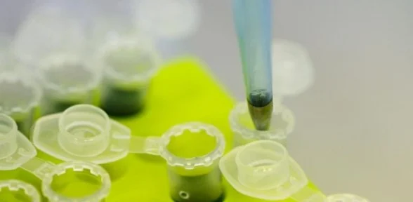 Ebolanın çaresi Bu Ilaç Mı ?