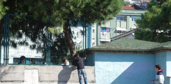 Onları Gres Yağı Bile Durduramadı