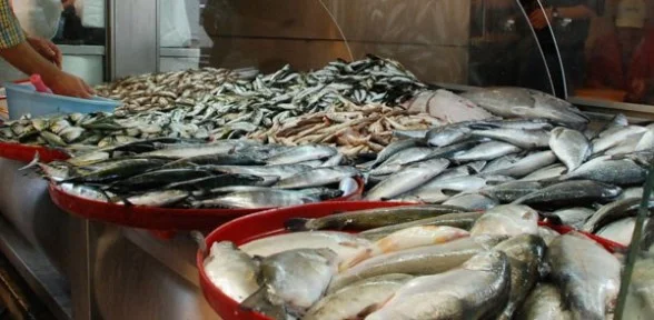 Balık Fiyatları Düşüyor