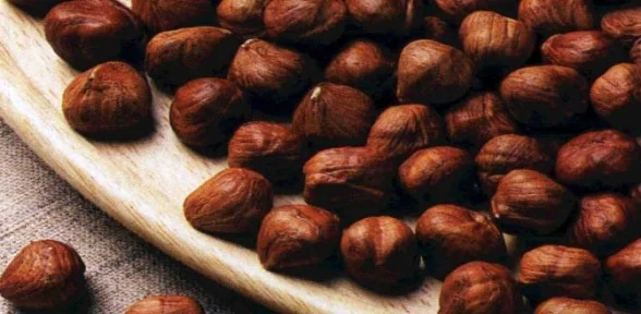 Fındığın Marifeti Büyük