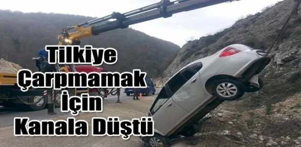 İnegöl'de Tilkiye Çarpmamak İçin Kanala Düştü