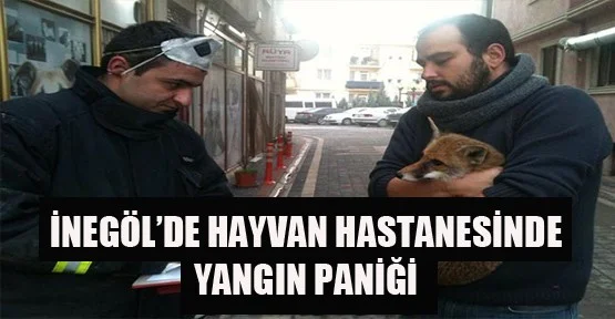 İnegöl'de hayvan hastanesinde yangın paniği