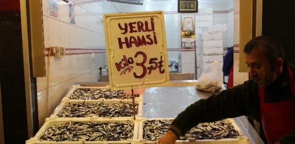 Müjde Hamsi 3.5 Tl’ye Düştü