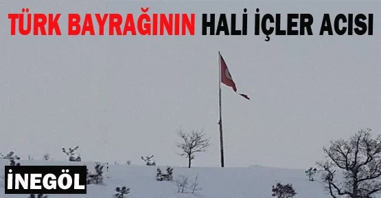 Türk Bayrağının Hali İşler Acısı...