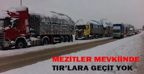 Uzun TIR kuyrukları oluştu