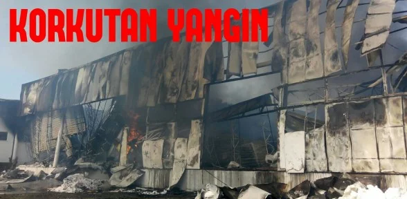 Yenice'de Korkutan Yangın